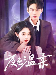 擦边短剧《夜色温柔》